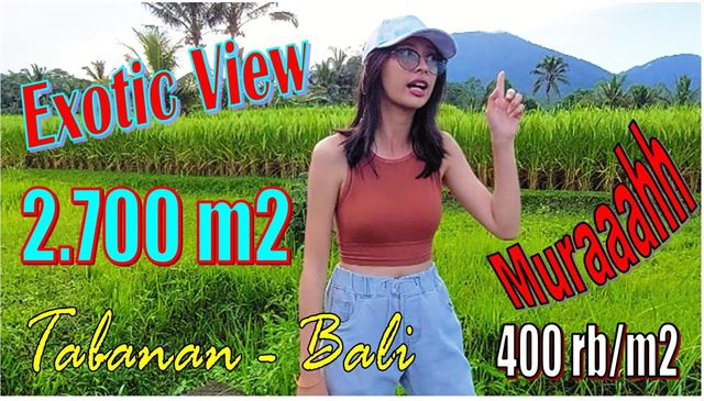 TANAH MURAH di TABANAN BALI 2,700 m2 di Penebel Tabanan