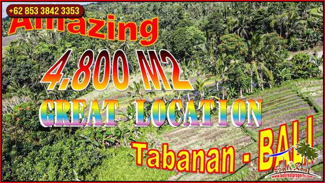 JUAL TANAH MURAH di TABANAN 48 Are View Sawah dan Gunung