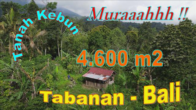 JUAL TANAH DI TABANAN 4,600 m2  View Gunung dan Kebun