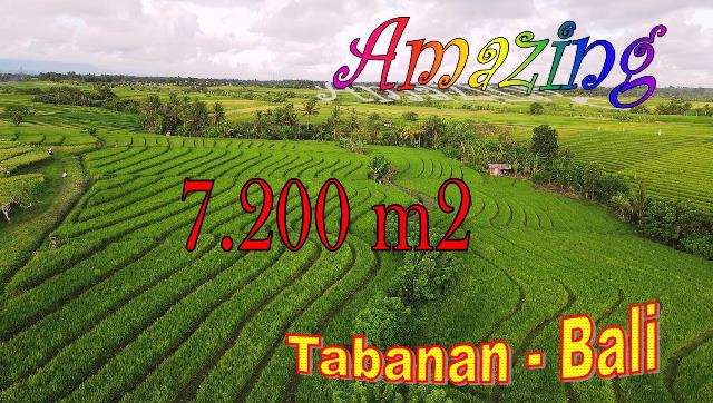TANAH di TABANAN DIJUAL 7,200 m2 di Selemadeg Timur