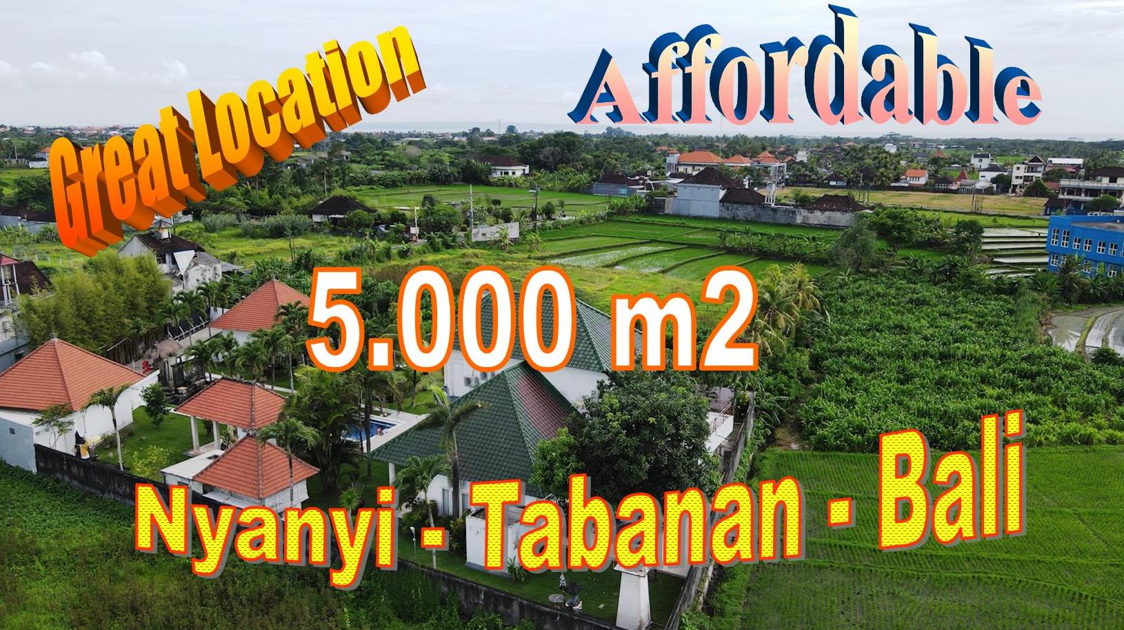 JUAL TANAH DI TABANAN BALI 5,000 m2 di Kediri