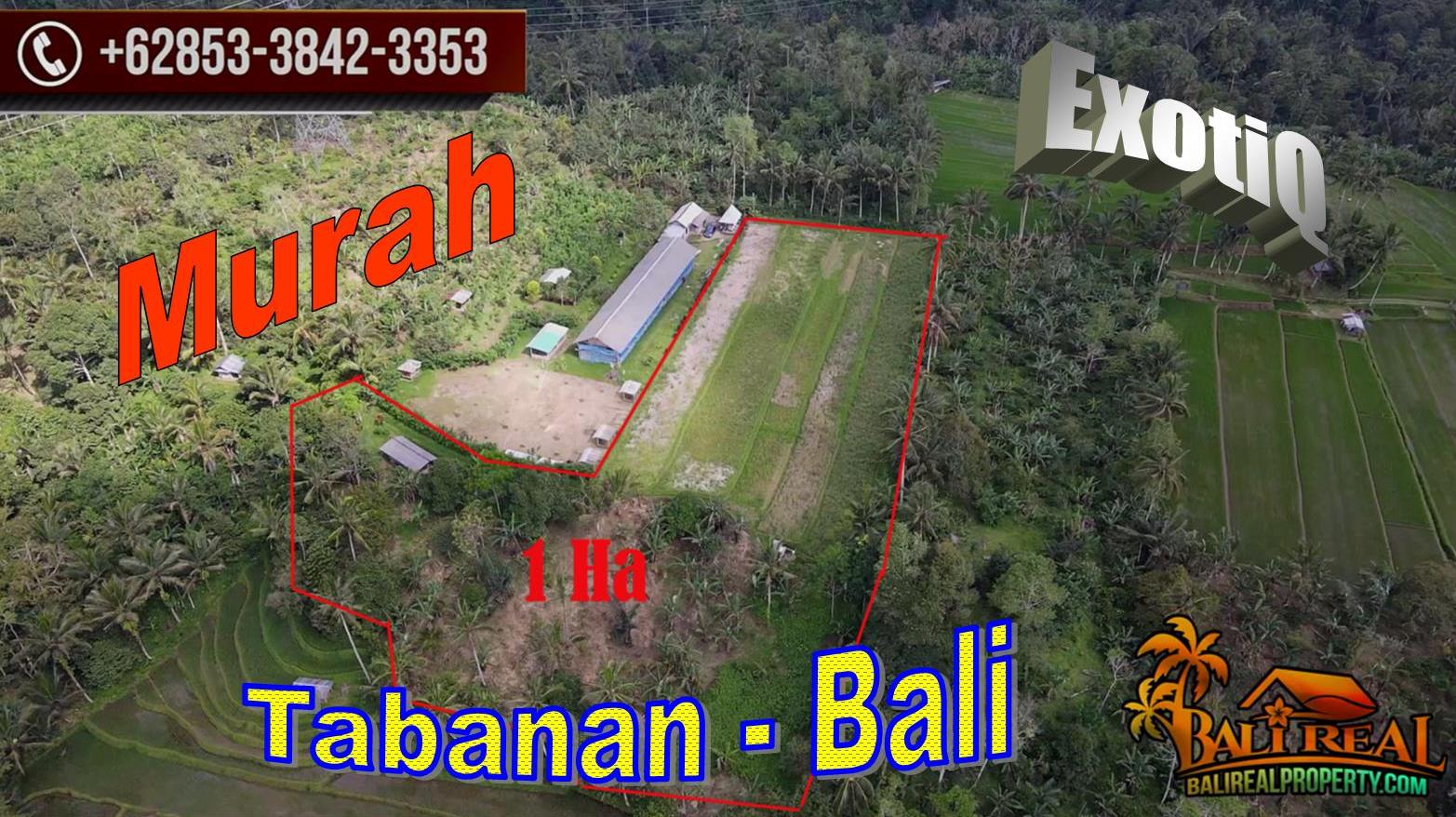 JUAL MURAH TANAH di TABANAN 10,000 m2 View Sawah, Kebun dan Gunung