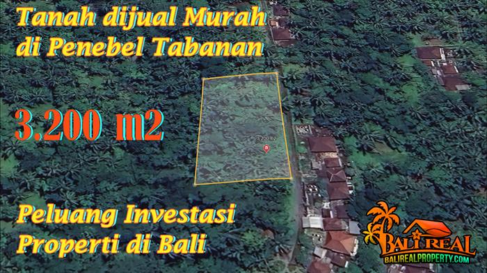 DIJUAL TANAH DI TABANAN BALI 3,200 m2 di Penebel