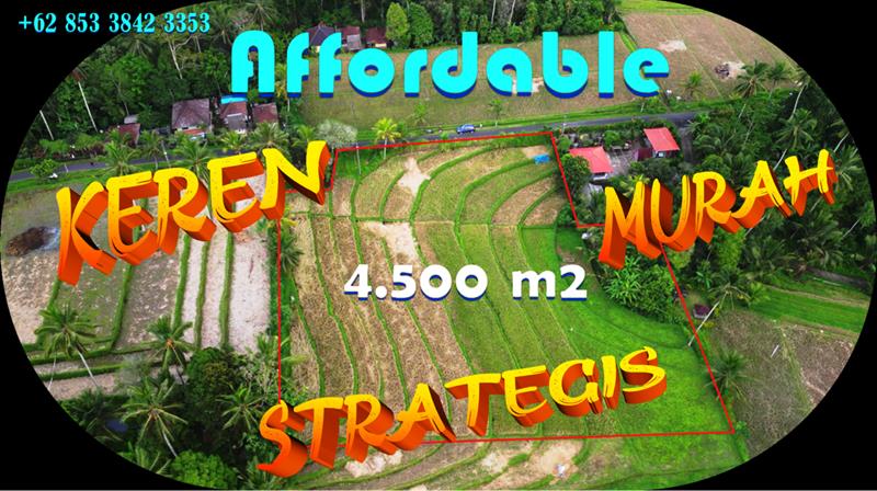 TANAH di TABANAN BALI JUAL MURAH 45 Are View Sawah dan Gunung