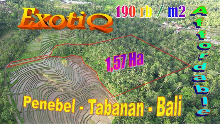 DIJUAL MURAH TANAH di TABANAN BALI Untuk INVESTASI TJTB821