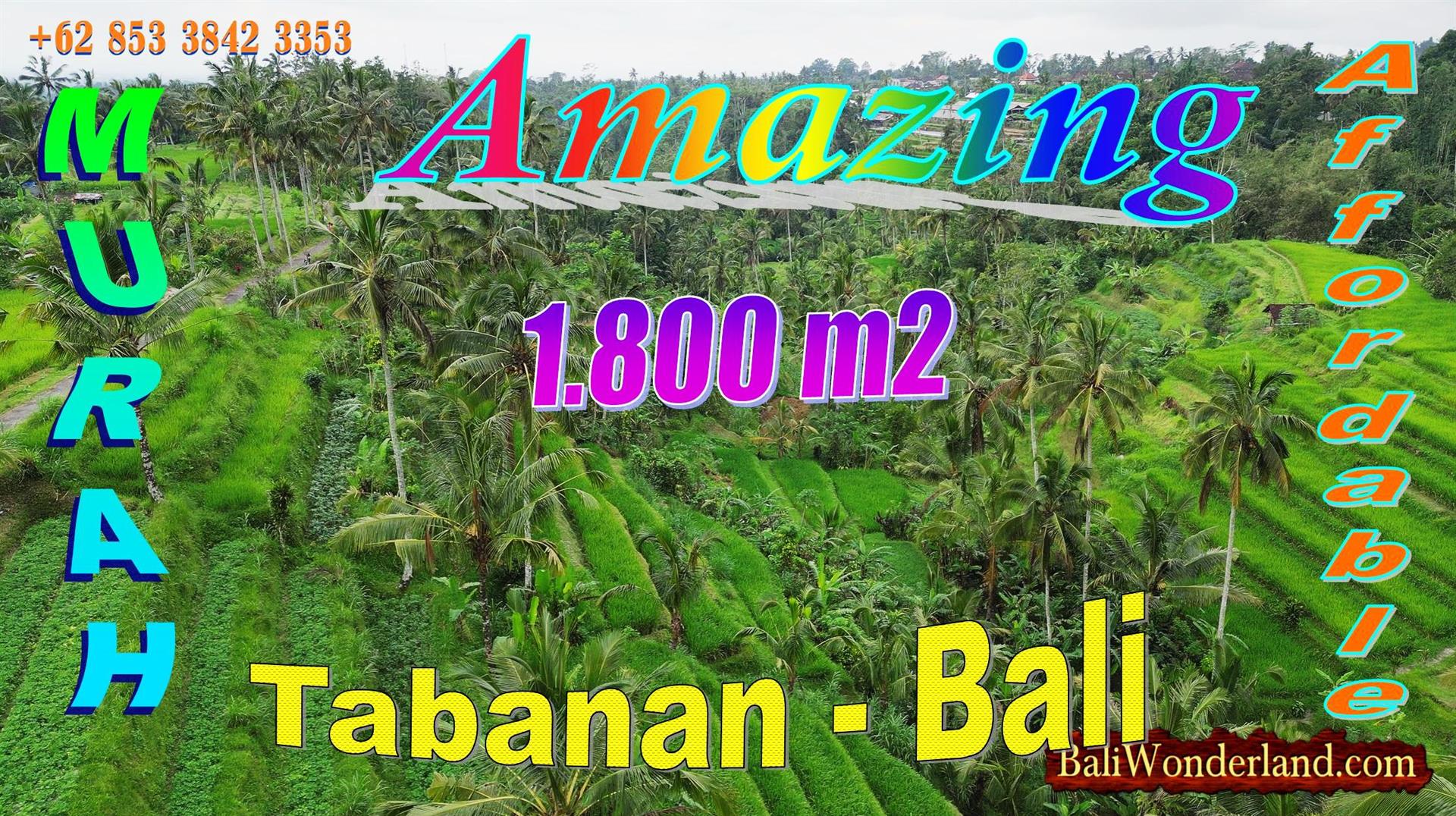 TANAH MURAH JUAL di TABANAN BALI 18 Are View Sawah dan Gunung