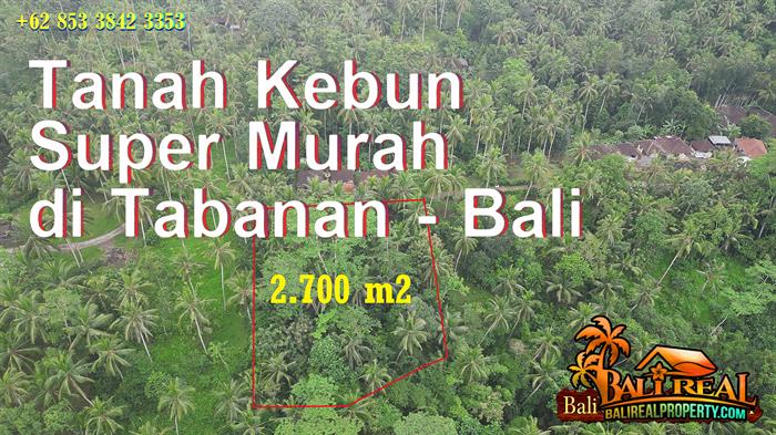 JUAL TANAH MURAH di TABANAN BALI 2,700 m2 View Kebun dan Sungai Kecil