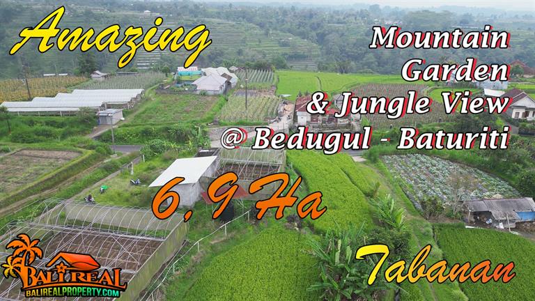 TANAH di TABANAN BALI DIJUAL MURAH 56,000 m2 di Baturiti Tabanan