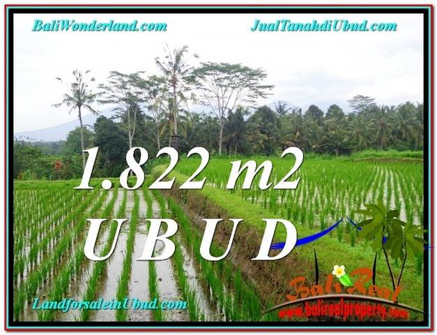 DIJUAL TANAH di UBUD BALI 1,822 m2 di Ubud Payangan