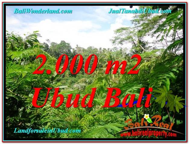 TANAH di UBUD DIJUAL MURAH 2,000 m2 di Ubud Tegalalang
