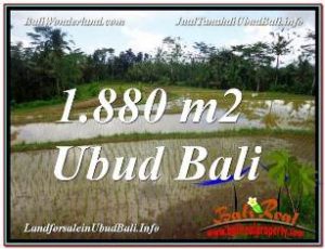 TANAH MURAH DI BALI, TANAH DIJUAL DI UBUD, INVESTASI PROPERTI DI BALI, tanah di UBUD, DIJUAL TANAH DI UBUD, TANAH MURAH DI UBUD, tanah di UBUD dijual, tanah dijual di Bali
