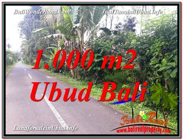 JUAL TANAH MURAH di UBUD 10 Are View Kebun dan Pangkung