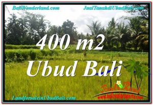 DIJUAL TANAH MURAH di UBUD BALI Untuk INVESTASI TJUB627