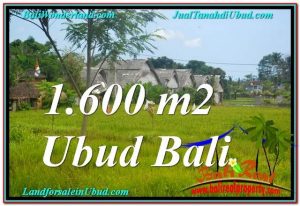 JUAL MURAH TANAH di UBUD BALI 1,600 m2 View Sawah, Link. Villa