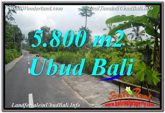TANAH MURAH JUAL   UBUD 5,800 m2  View Hutan dan Sungai