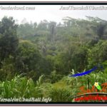 TANAH MURAH di UBUD BALI DIJUAL 5,800 m2 View Hutan dan Sungai