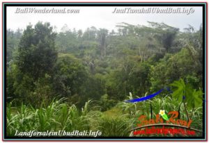 TANAH MURAH di UBUD BALI DIJUAL 5,800 m2 View Hutan dan Sungai