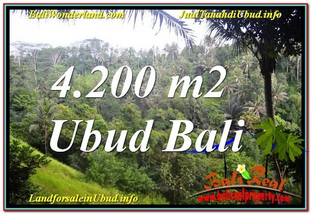 TANAH MURAH di UBUD BALI DIJUAL 42 Are di Sentral / Ubud Center