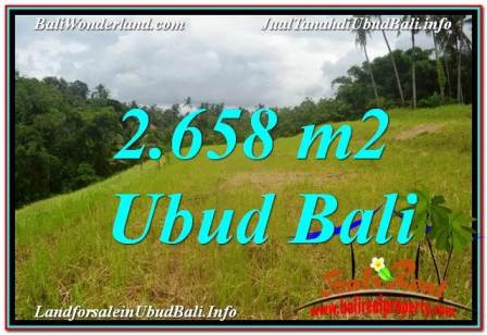 TANAH DIJUAL MURAH di UBUD BALI 2,658 m2 di Sentral / Ubud Center