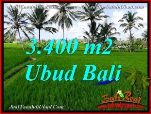 JUAL MURAH TANAH di UBUD BALI 3,400 m2 View Sawah link Villa