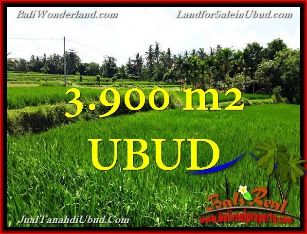 TANAH MURAH di UBUD BALI 3,900 m2 di Ubud Pejeng