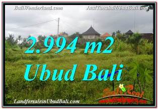 DIJUAL MURAH TANAH di UBUD TJUB672