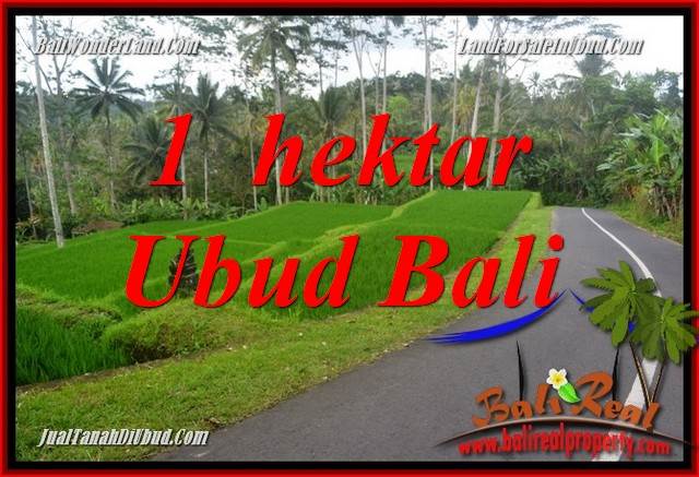 Tanah Murah Dijual di Ubud Bali TJUB683