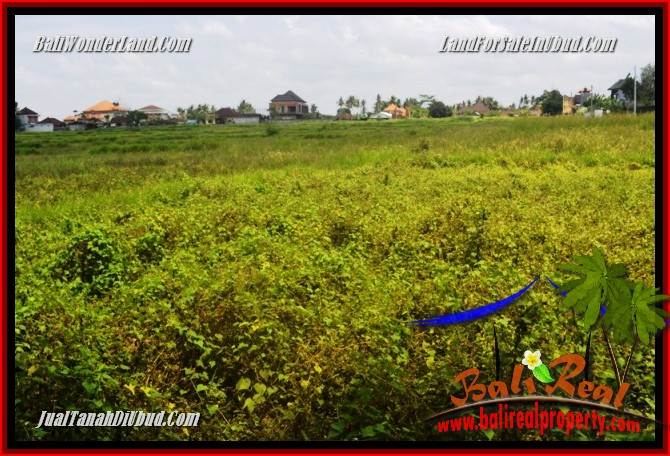Tanah Murah Dijual di Ubud Untuk Investasi TJUB685