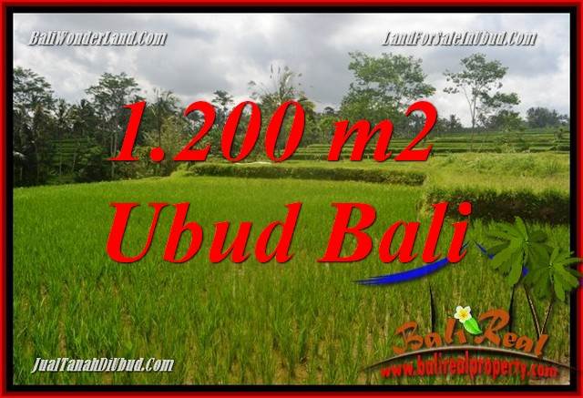 Tanah Dijual di Ubud Bali TJUB693
