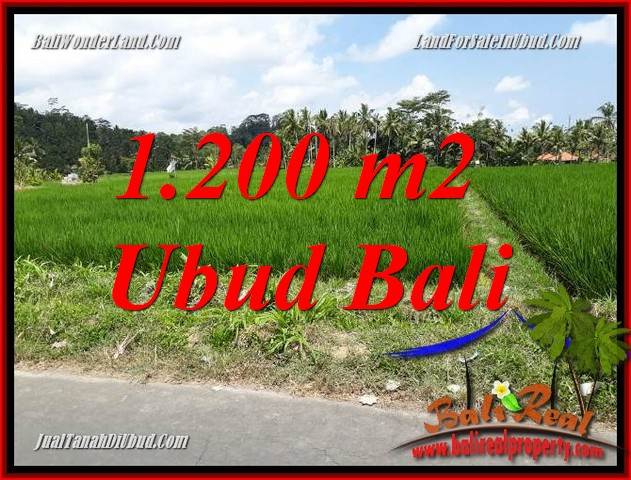 Investasi Property, jual Tanah di Ubud TJUB694