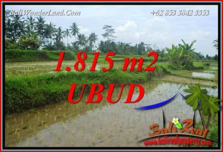 Tanah di Ubud Bali Dijual Murah Untuk Investasi TJUB703