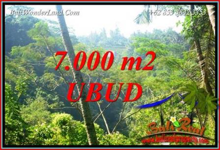 Tanah Murah Dijual di Ubud Bali Untuk Investasi TJUB714