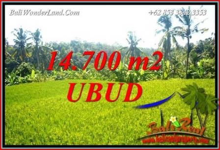 Investasi Properti, Dijual Murah Tanah di Ubud Bali TJUB717