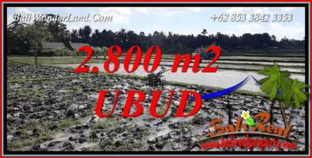 Tanah Murah Dijual di Ubud Bali Untuk Investasi TJUB722