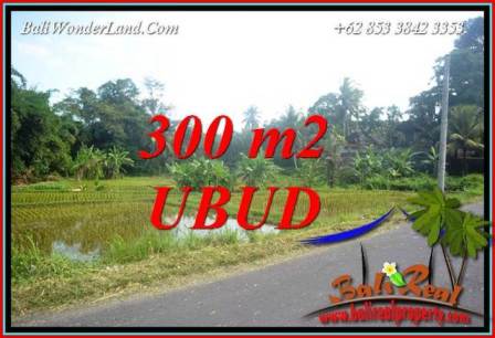 Tanah Dijual di Ubud Bali 3 Are di Sentral Ubud