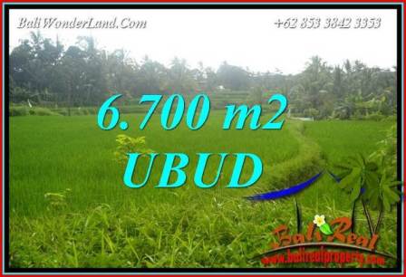 Tanah Murah di Ubud Bali Dijual 67 Are di Ubud Tegalalang