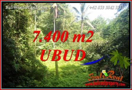 Investasi Property, jual Tanah di Ubud Bali TJUB734