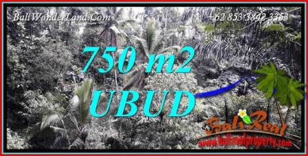 Tanah Murah di Ubud Bali Jual 750 m2 View Tebing dan Sungai