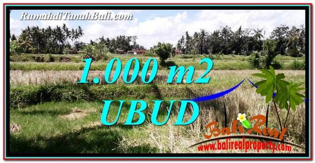 DIJUAL TANAH MURAH di UBUD BALI 1,000 m2 di Ubud Pejeng