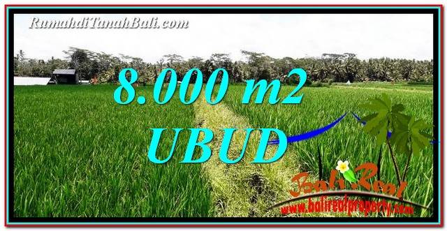 DIJUAL MURAH TANAH di UBUD BALI Untuk INVESTASI TJUB763