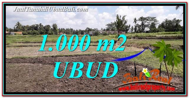 DIJUAL MURAH TANAH di UBUD Untuk INVESTASI TJUB765