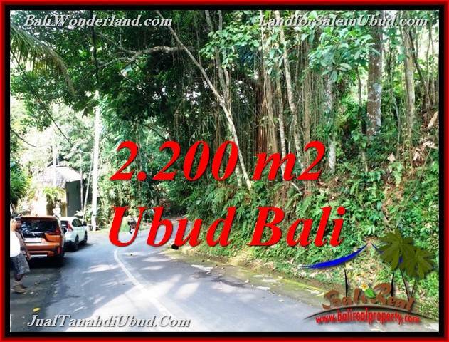 TANAH MURAH di UBUD 22 Are di SENTRAL UBUD