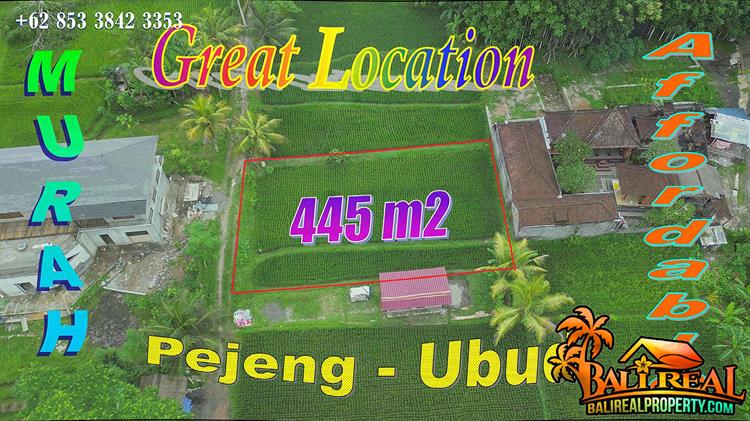 DIJUAL TANAH DI BALI 4.45 Are di Ubud Pejeng