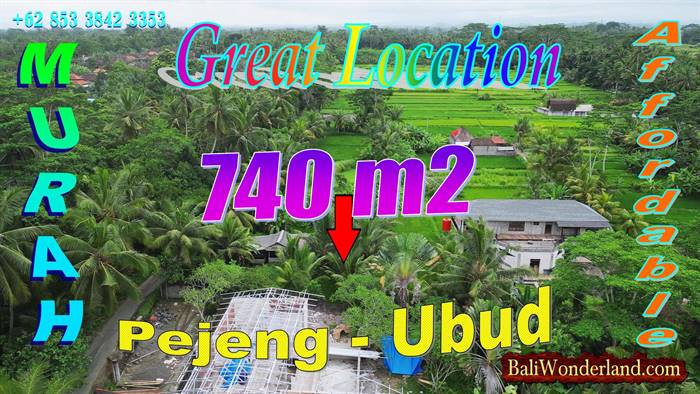 TANAH MURAH DIJUAL di BALI 740 m2 di Ubud Pejeng