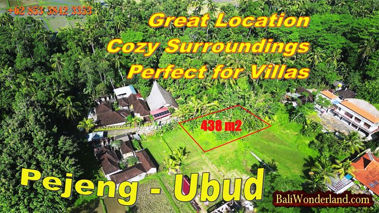 TANAH MURAH DIJUAL di UBUD BALI Untuk INVESTASI TJUB888